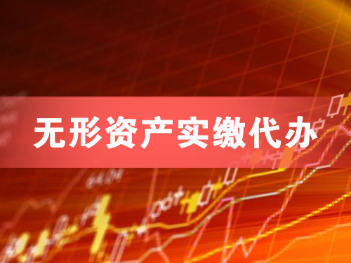 淮南无形资产实缴资本代办